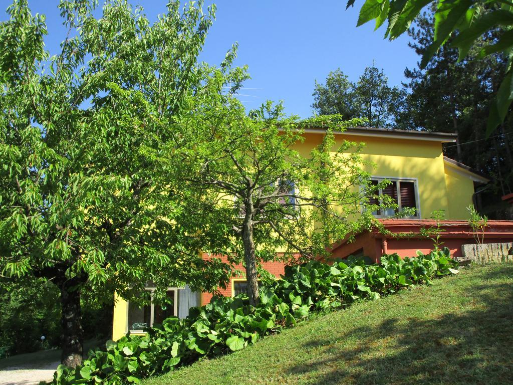 Casa Balducci Bed&Breakfast Mercatello sul Metauro Екстер'єр фото