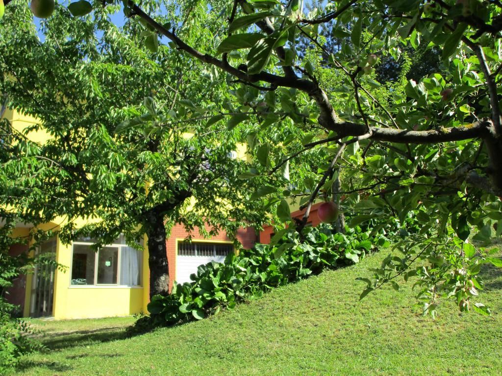 Casa Balducci Bed&Breakfast Mercatello sul Metauro Екстер'єр фото