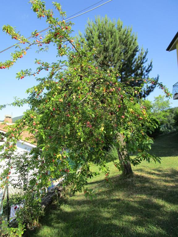 Casa Balducci Bed&Breakfast Mercatello sul Metauro Екстер'єр фото